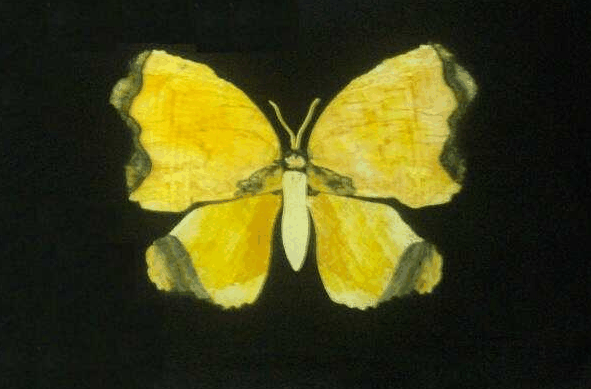 Ashworths - Attractions Brisbane