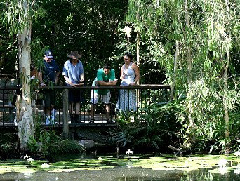 Hartley's Crocodile Adventures - Attractions Brisbane 2