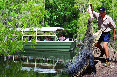Hartley's Crocodile Adventures - Attractions Brisbane 6