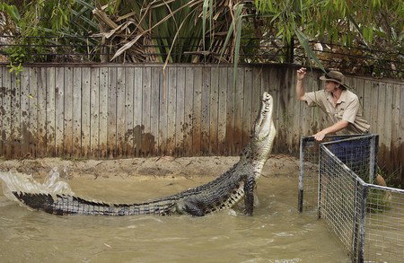 Hartley's Crocodile Adventures - Attractions Brisbane 8