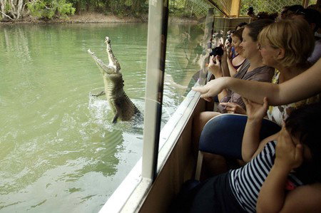 Hartley's Crocodile Adventures - Attractions Brisbane 9