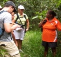 Ingan Tours - Spirit of the Rainforest Tour - Attractions Brisbane