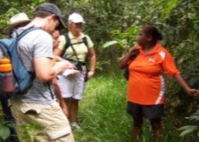 Ingan Tours - Spirit Of The Rainforest Tour - Attractions Brisbane 0