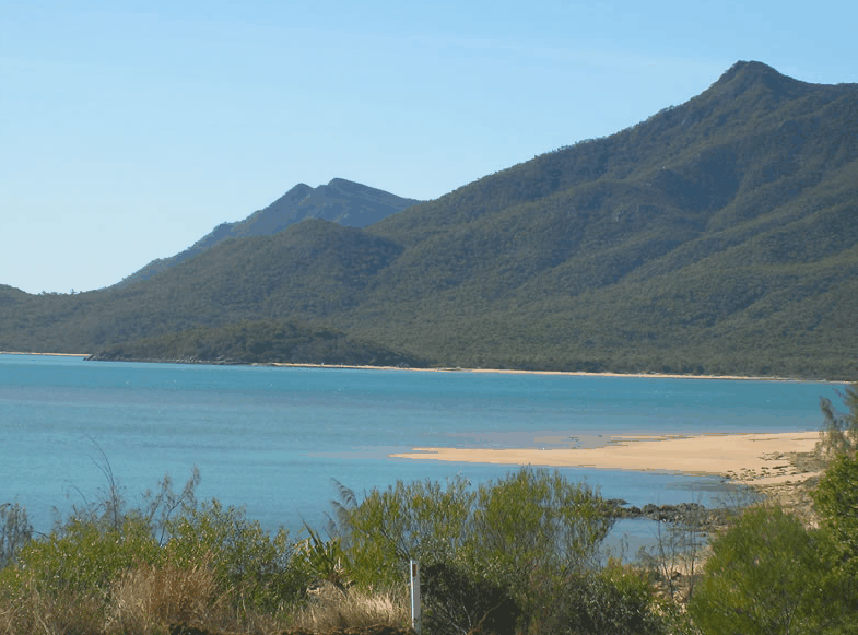 Eco Jet Safari - Attractions Brisbane 5