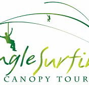 Jungle Surfing Canopy Tours and Jungle Adventures Nightwalks - Attractions Brisbane