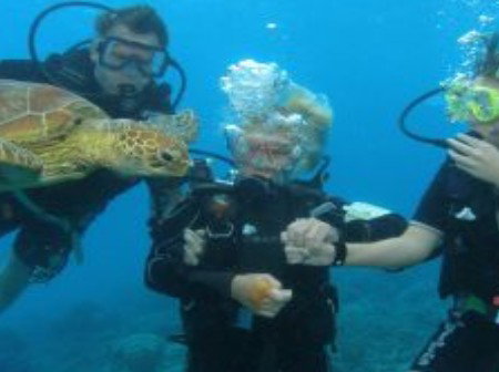 Brinsmead QLD Attractions Brisbane