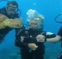 Yardarm Pty Ltd t/a Passions of Paradise - Attractions Brisbane