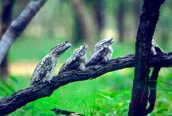 Camp Creek QLD Attractions Brisbane