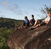 Cooktown Aboriginal Art Tours - Attractions Brisbane
