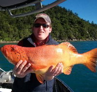 Gone Fishing by Coral Sea Fishing Charters Airlie Beach - Attractions Brisbane