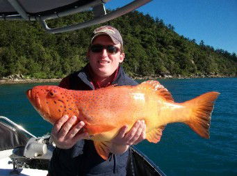 Gone Fishing By Coral Sea Fishing Charters Airlie Beach - Attractions Brisbane 0