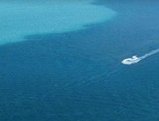 Adventure Moreton Island - Attractions Brisbane 0