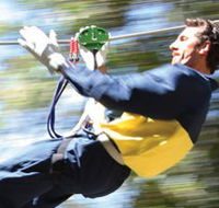 Adventure Parc - Attractions Brisbane