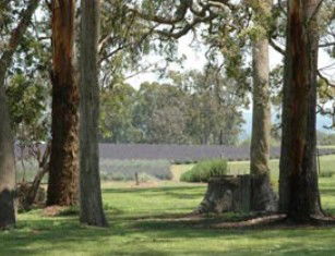 Stanthorpe QLD Attractions Brisbane
