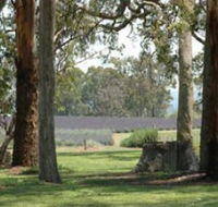Aloomba Lavender - Attractions Brisbane