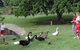 Anzac Park And Ululah Lagoon - thumb 0
