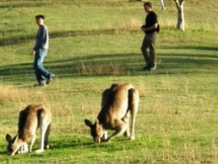 Southern Queensland Country QLD Attractions Brisbane