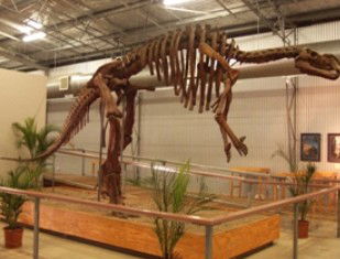 Winton QLD Attractions Brisbane