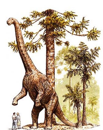 Australian Age Of Dinosaurs - Attractions Brisbane 2