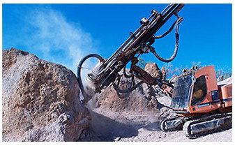 Australian Age Of Dinosaurs - Attractions Brisbane 3