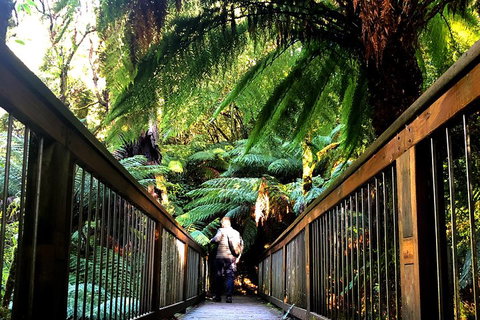 Small-Group Great Ocean Road And Twelve Apostles Full-Day Tour - Attractions Brisbane 1