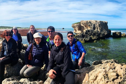 Pinnacles Desert (Private) Day Tour - Attractions Brisbane 4