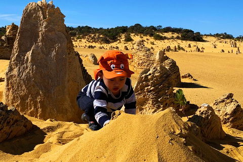 Perth Kids Explorer (Private) Day Tour - Attractions Brisbane 3