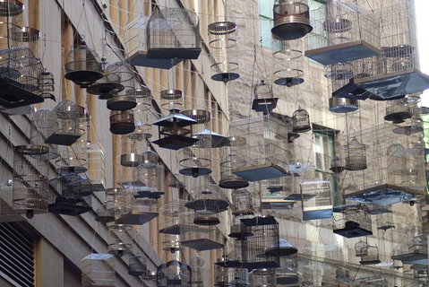 Sydney Scavenger Hunt: Inside Sydney - Attractions Brisbane 0