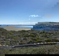 Penguin Island And Fremantle - Canoe Chocolate  Coffee - Attractions Brisbane