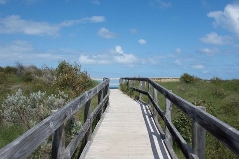 Yanchep & Lancelin - Wildlife, Cave And Sands - Attractions Brisbane 2