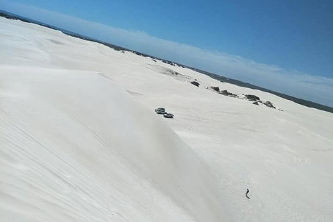 Yanchep & Lancelin - Wildlife, Cave And Sands - Attractions Brisbane 3