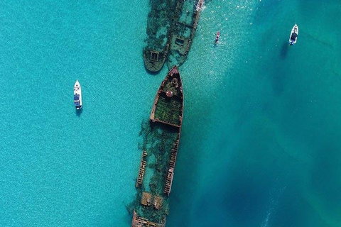 Cruise In Moreton Bay Marine Park And Moreton Island - Attractions Brisbane 1
