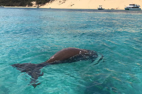 Cruise In Moreton Bay Marine Park And Moreton Island - Attractions Brisbane 2