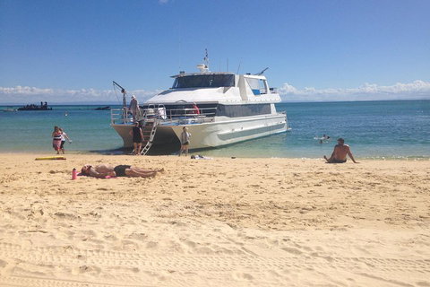 Cruise In Moreton Bay Marine Park And Moreton Island - Attractions Brisbane 4