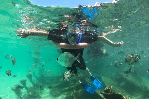 Cruise In Moreton Bay Marine Park And Moreton Island - Attractions Brisbane 5