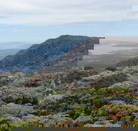 kunanyi/Mt Wellington Explorer Bus - One Way Tour - Attractions Brisbane