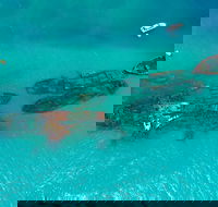 Private Tangalooma Wrecks Tour - Attractions Brisbane