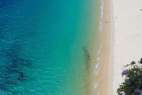 Private Tangalooma Wrecks Tour - Attractions Brisbane 1