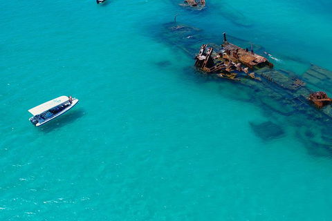 Private Tangalooma Wrecks Tour - Attractions Brisbane 4