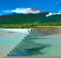 5-Day Best of Cairns with Daintree Kuranda and Great Barrier Reef - Attractions Brisbane