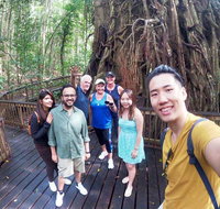 Cairns 4WD Waterfall and Rainforest Tour Including Kuranda Scenic Railway - Attractions Brisbane