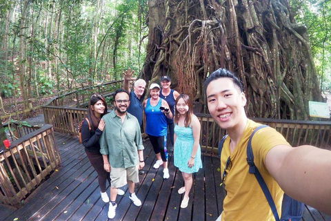 Cairns 4WD Waterfall And Rainforest Tour Including Kuranda Scenic Railway - Attractions Brisbane 0