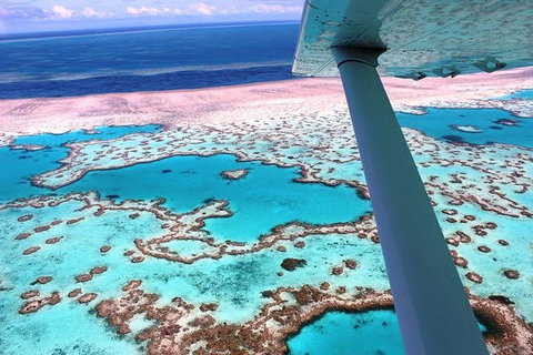 8-Day Cairns Tour: Great Barrier Reef, Kuranda, Daintree Rainforest - Attractions Brisbane 2