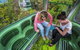 8-Day Cairns Tour: Great Barrier Reef, Kuranda, Daintree Rainforest - thumb 3