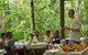 8-Day Cairns Tour: Great Barrier Reef, Kuranda, Daintree Rainforest - thumb 4