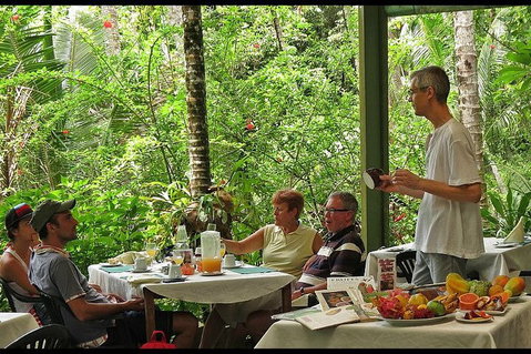 8-Day Cairns Tour: Great Barrier Reef, Kuranda, Daintree Rainforest - Attractions Brisbane 4