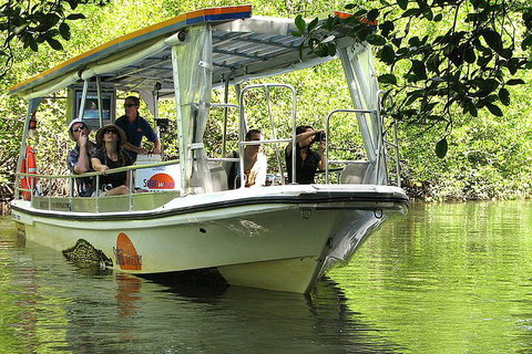 8-Day Cairns Tour: Great Barrier Reef, Kuranda, Daintree Rainforest - Attractions Brisbane 5