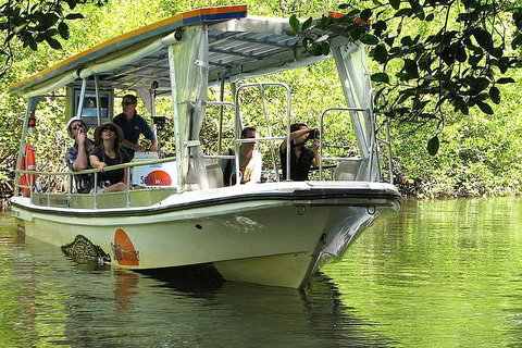 3-Day Best Of Cairns Combo: The Daintree Rainforest, Great Barrier Reef, And Kuranda - Attractions Brisbane 4