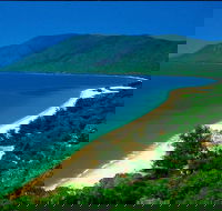 Cairns Reef and Rainforest Combo Daintree Rainforest and the Great Barrier Reef - Attractions Brisbane
