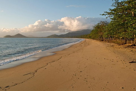 Cairns Reef And Rainforest Combo: Daintree Rainforest And The Great Barrier Reef - Attractions Brisbane 4